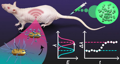 Изобрели долговечный подкожный датчик из нанозолота