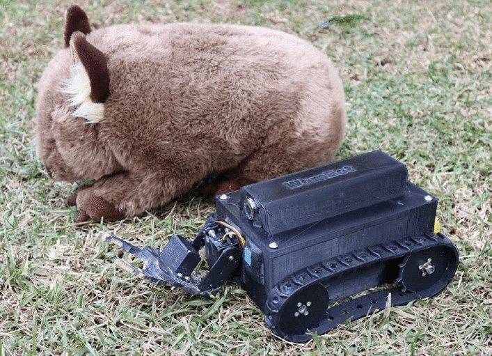 WomBot присматривает за вомбатовыми норами