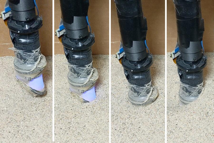 Сделали компактный робопалец, который чувствует закопанные предметы