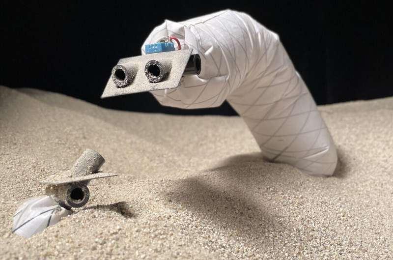 [Посмотрите] мягкие роботы-червяки