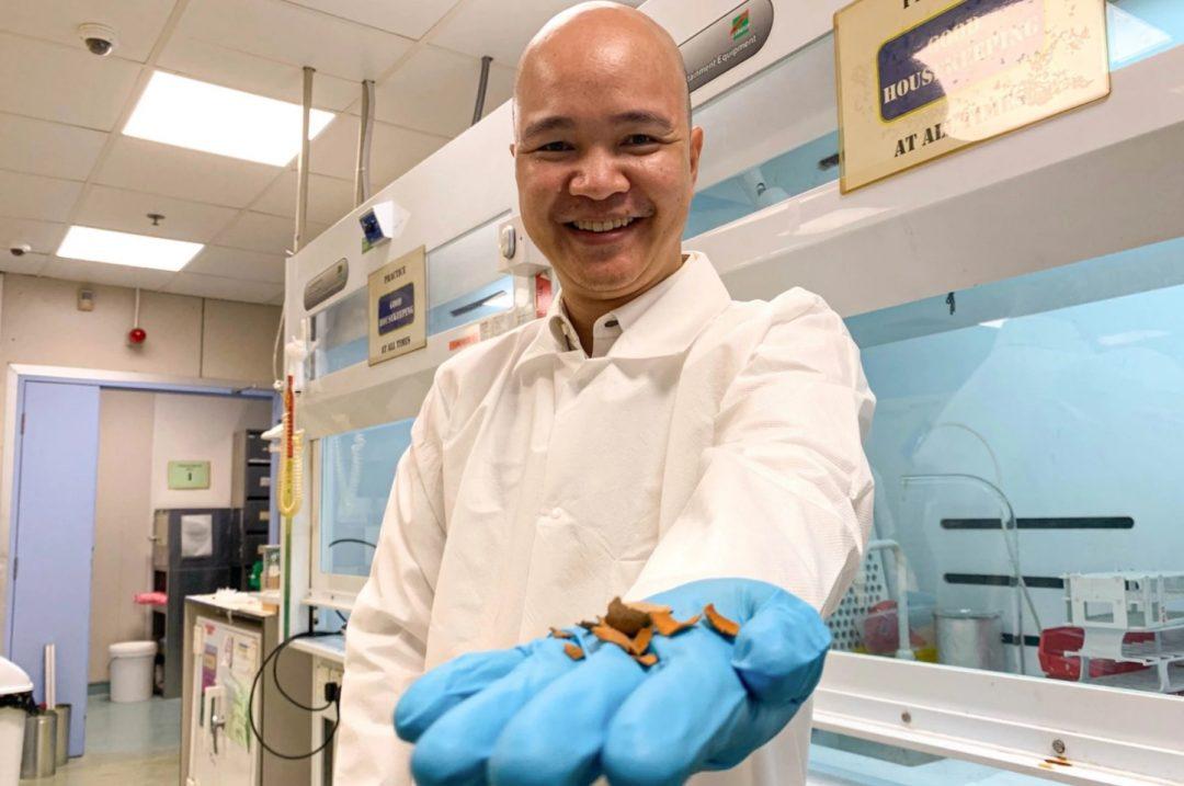 Придумали делать накопители энергии из скорлупы стручков тамаринда