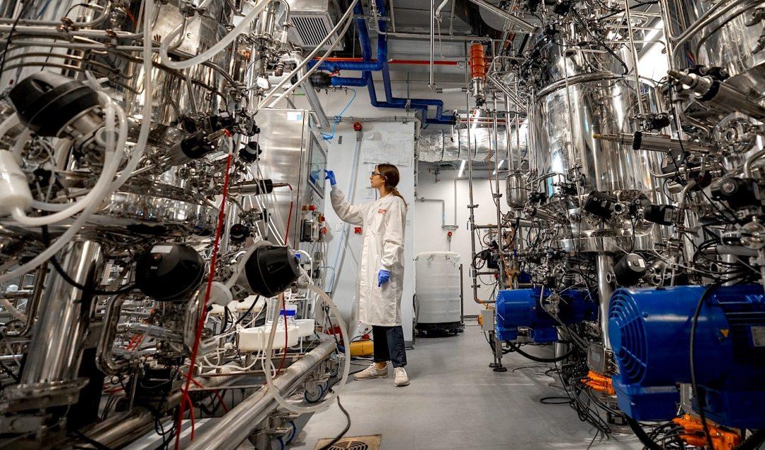 Открыли первую фабрику по выращиванию мяса из клеток