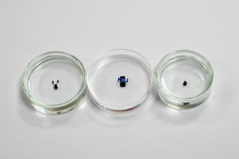 Посмотрите: робот размером с рисинку