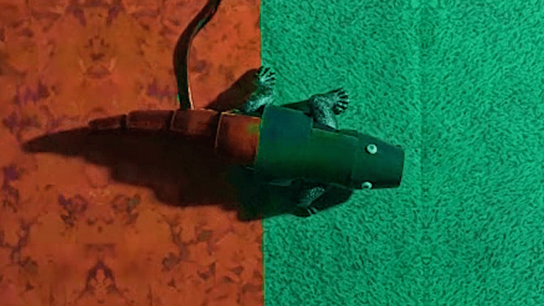 Посмотрите: создали мягкого робота-хамелеона