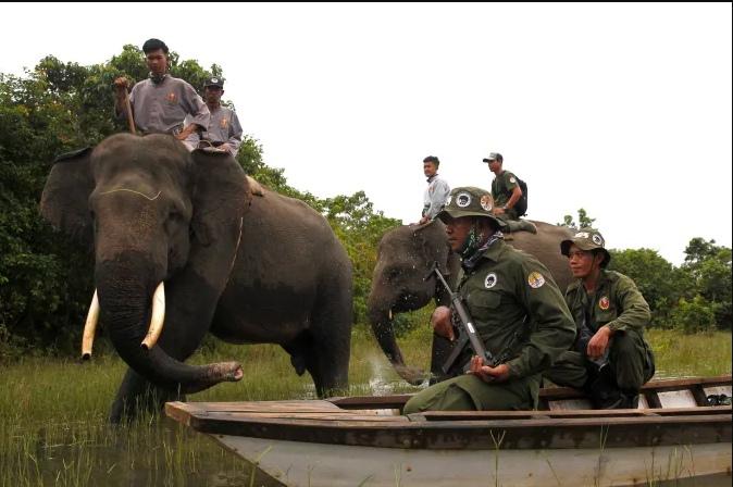 Нейронка предсказывает, где появятся браконьеры