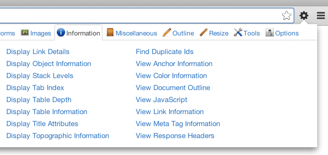 Чтобы не делать всё это вручную, используют плагины, например Web developer toolbar: Какой софт нужен, чтобы стать тестировщиком