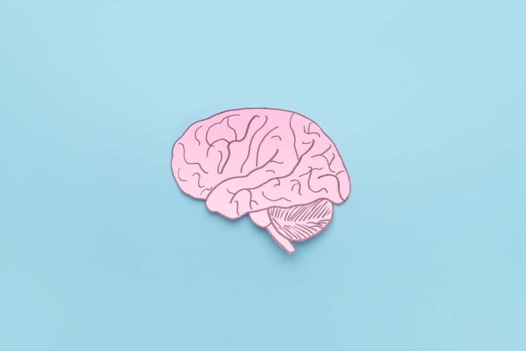 В России автоматизировали обнаружение патологий головного мозга, вызывающих эпилепсию