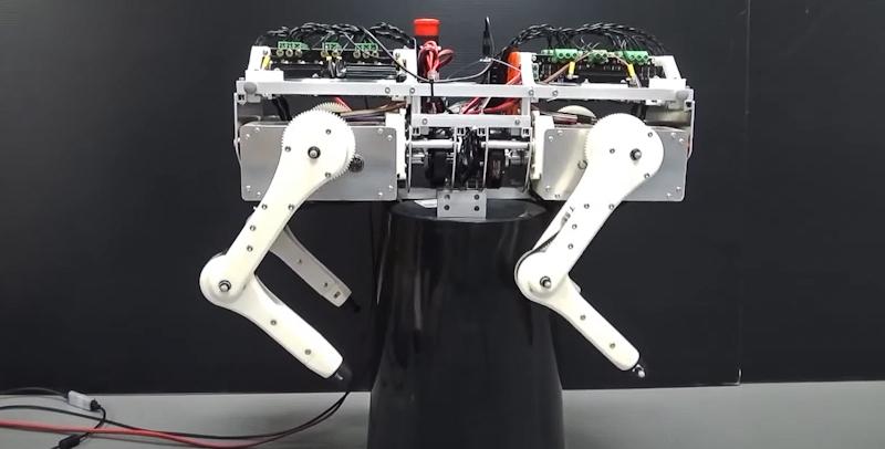 Создали робота, чтобы понять механизм передвижения кошек