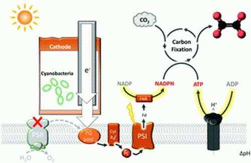Научились превращать углекислый газ в топливо