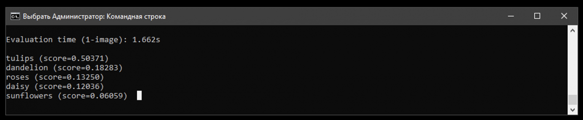 Запускаем нейросеть на домашнем компьютере