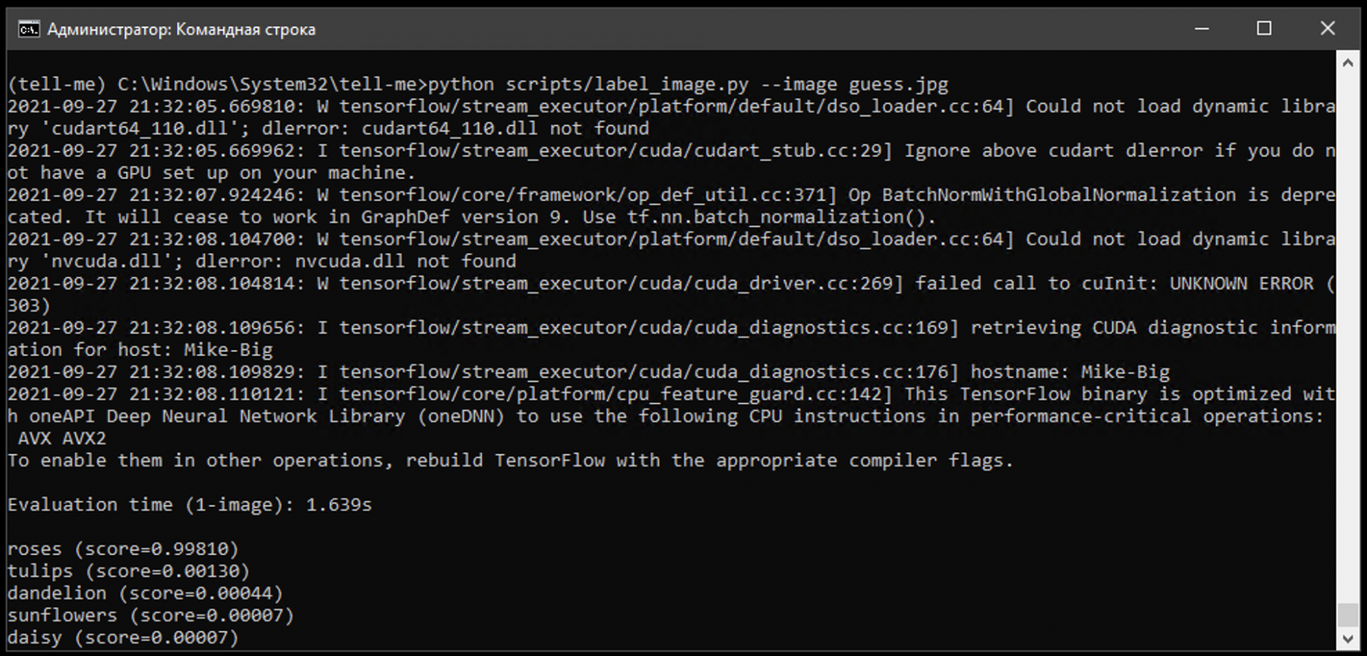 Запускаем нейросеть на домашнем компьютере