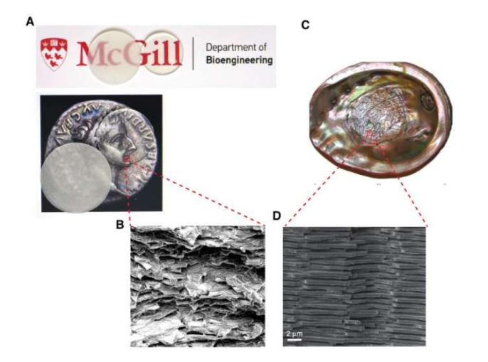 Сделали очень прочное прозрачное стекло