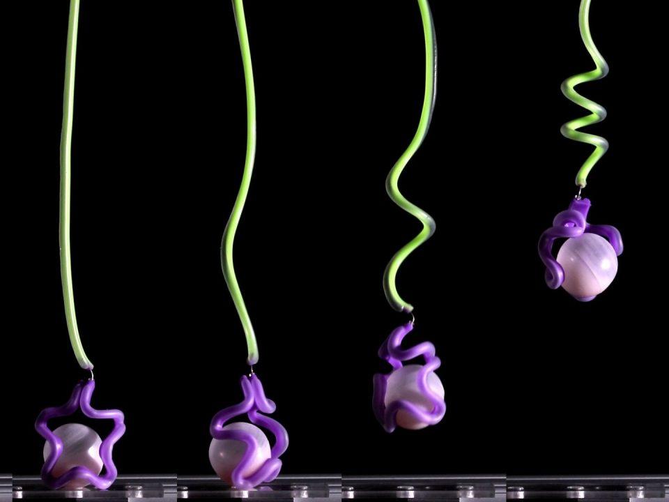 Изобрели технологию литья пузырей для создания мягких роботов