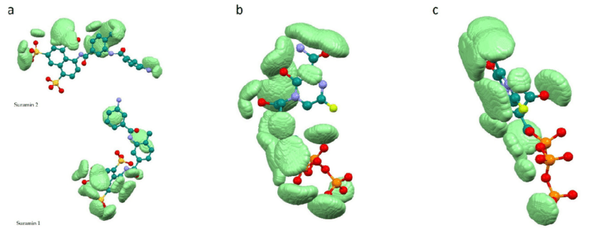 Российские учёные разработали программу, которая оценивает эффективность новых лекарств