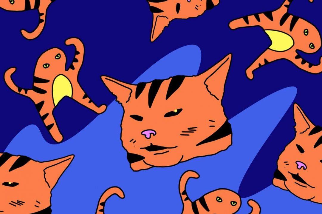 Лучшие языки программирования для старта в 2022 году