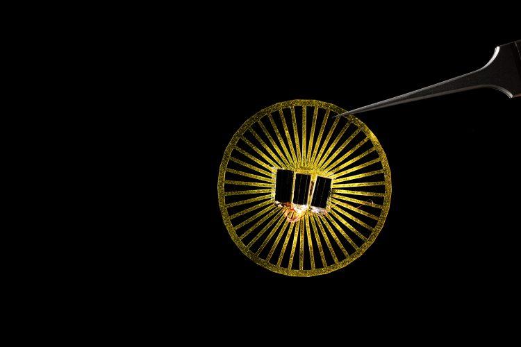 Разработали безбатарейные датчики-одуванчики