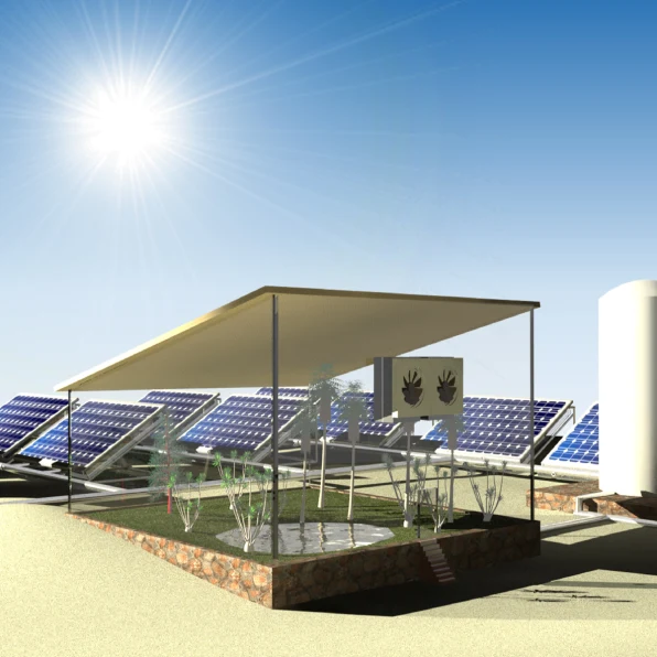 Сделали систему для выращивания растений в пустыне