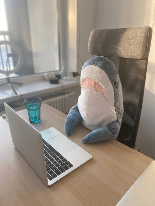 Как школьный учитель стал фронтенд-разработчиком