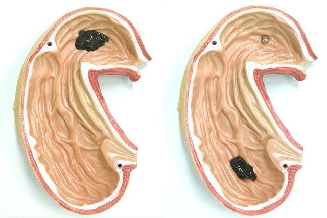 Сделали магнитного слизевого робота