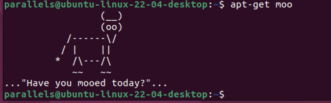 На что способен менеджер пакетов