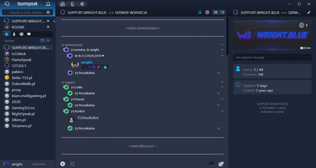 Свой сервис для голосового общения Что ещё полезного можно сделать со своим сервером