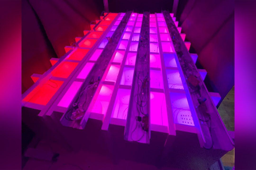 В России сделали умную фитолампу, чтобы выращивать в теплицах больше овощей