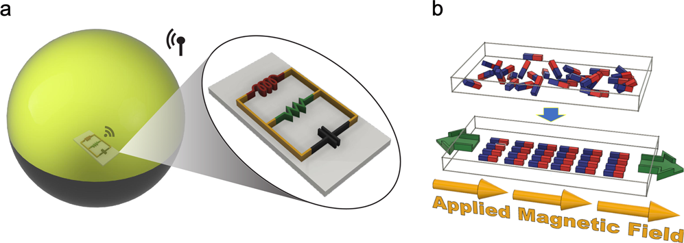 Сделали миниатюрную беспроводную антенну, которая работает внутри живой клетки