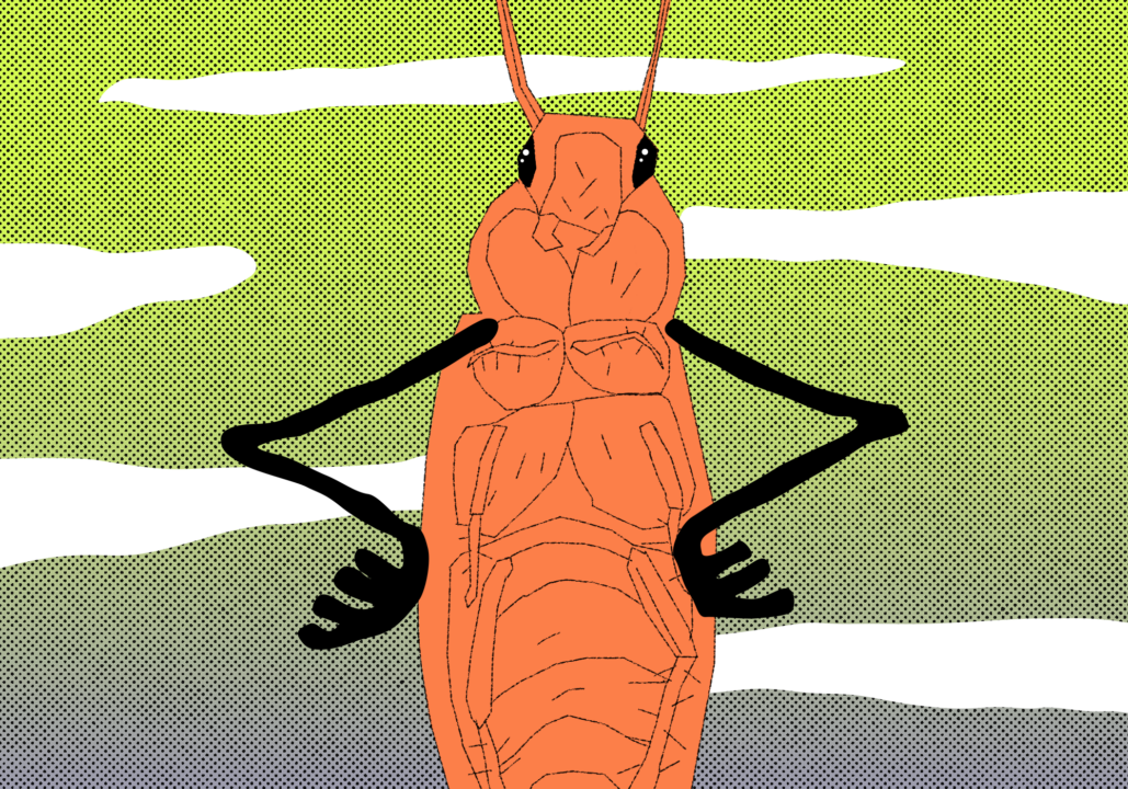 Как поймать баг в коде: отладка в браузере