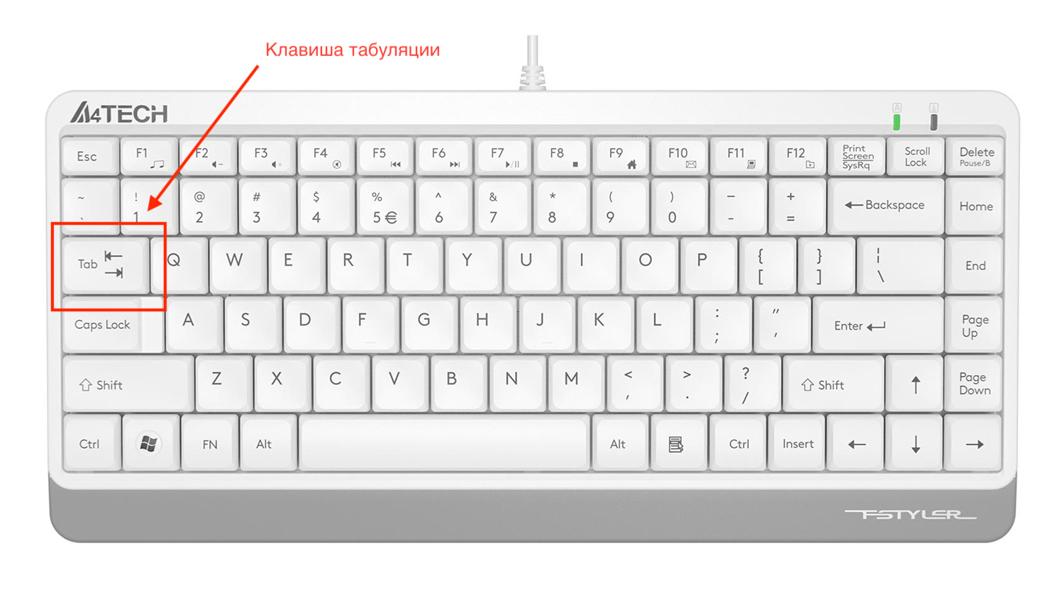 Что такое табы Чем правильно ставить отступы — табами или пробелами?