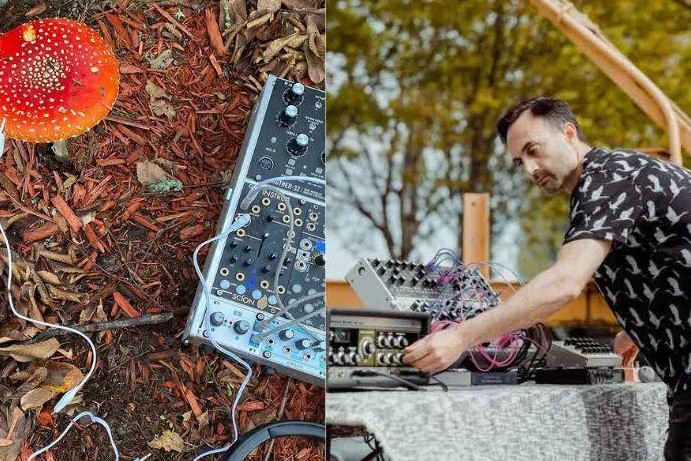 Музыкант-экспериментатор извлёк звуки из грибов