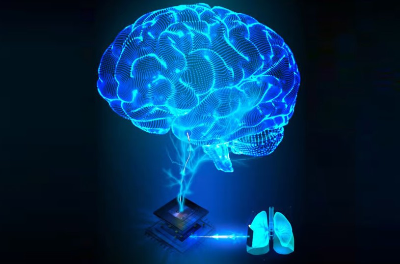 Сделали нейростимулятор, который работает без батареек