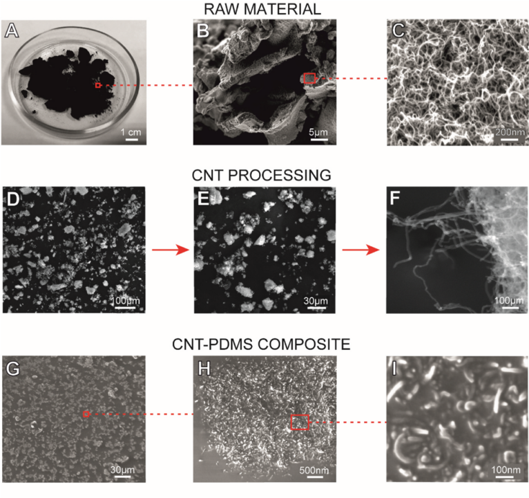 В России разработали первый в мире мягкий нейроимплантат спинного мозга