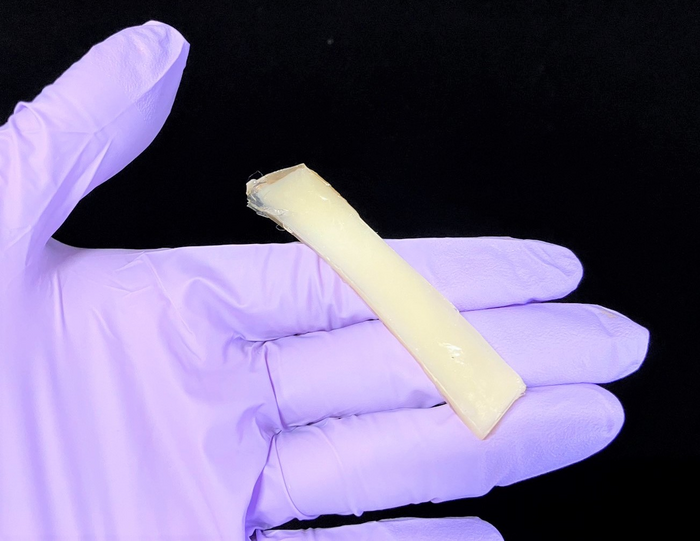 Сделали биосовместимый гидрогель из кальмаров