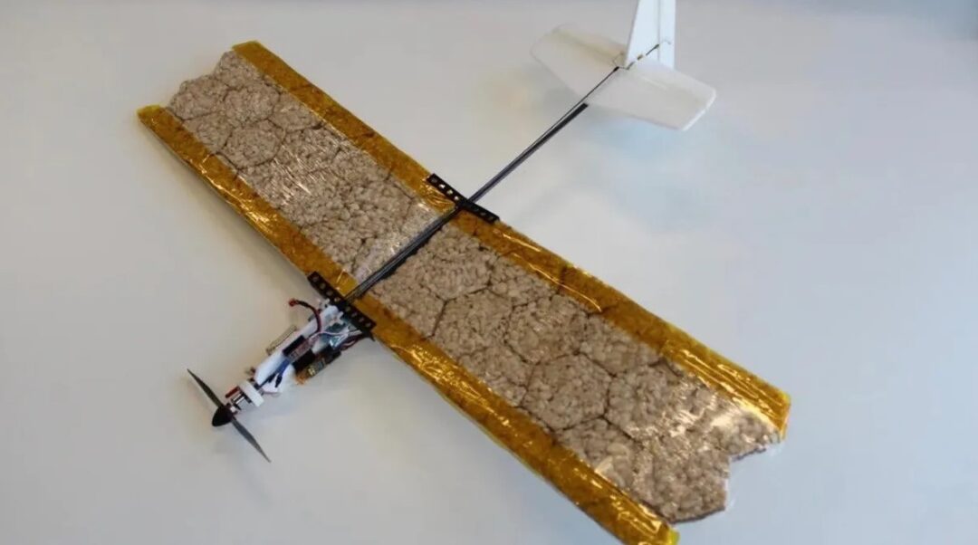 Сделали съедобный дрон для питания людей, пока они ждут спасателей