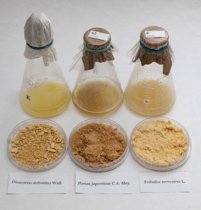 В России разработали растительные препараты для борьбы с лишним весом