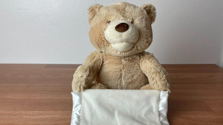 Технодурка: плюшевый мишка — голосовой помощник с ChatGPT