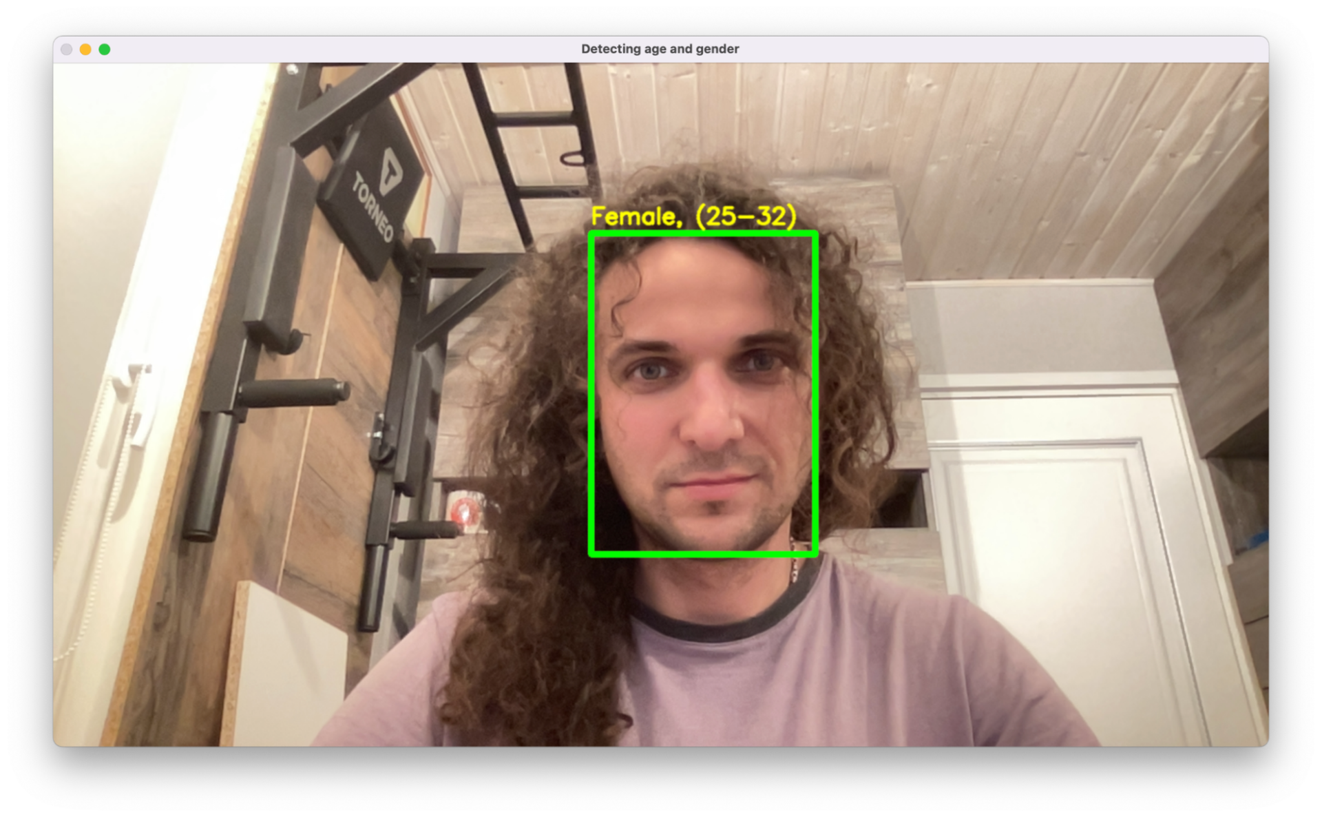 Добавляем вывод новых данных о поле и возрасте Учим нейросеть определять пол и возраст по картинке с камеры