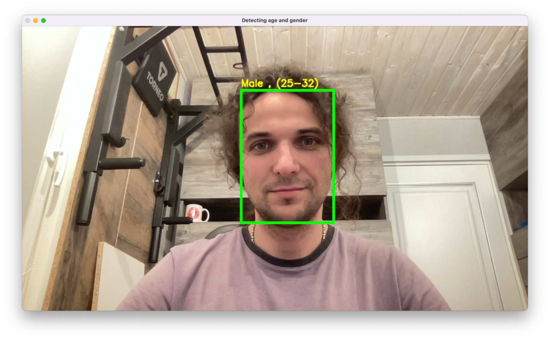 Добавляем вывод новых данных о поле и возрасте Учим нейросеть определять пол и возраст по картинке с камеры