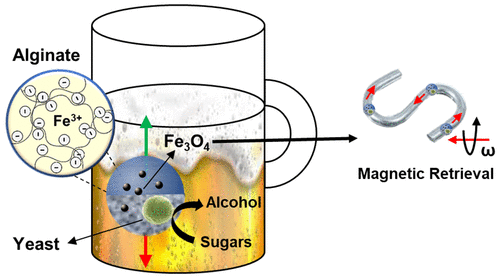 Создали мини-роботов, которые ускоряют процесс пивоварения