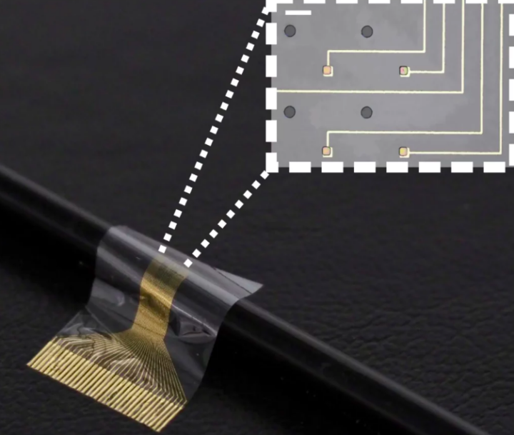 Изобрели биогибридный нейронный имплантат для восстановления функций парализованной конечности