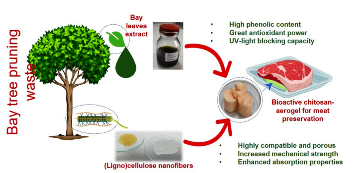 Разработали влаговпитывающие салфетки для мяса, которые состоят только из натуральных отходов