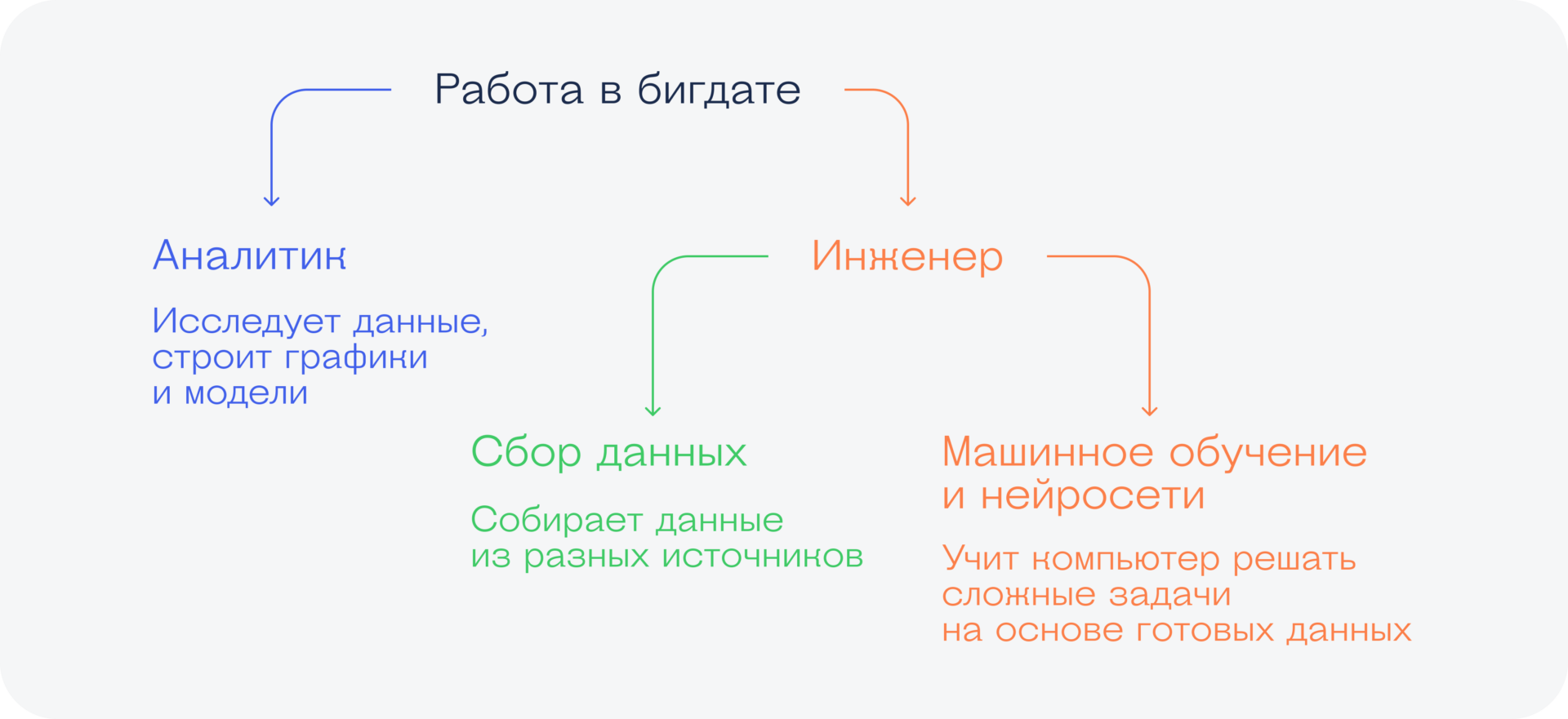 Ваш гид по профессиям, связанным с данными