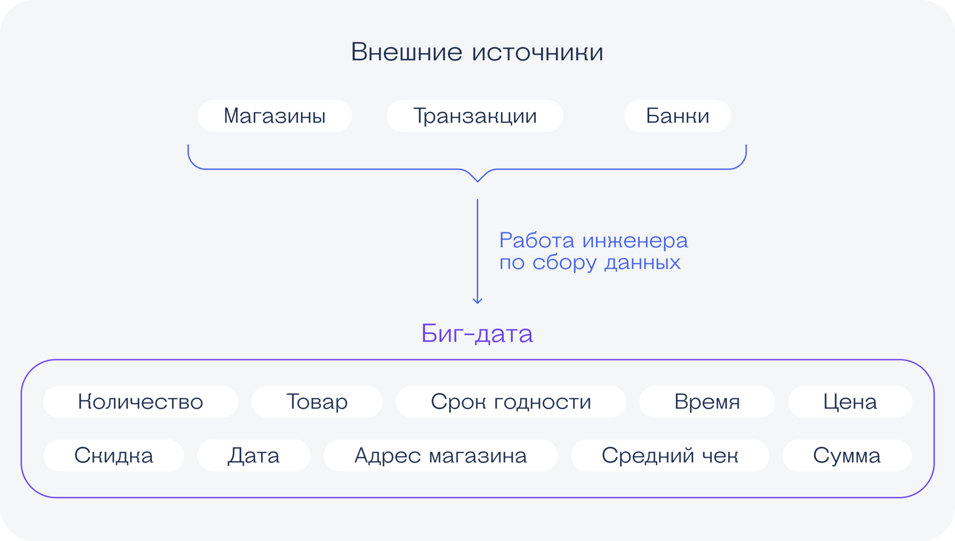 Ваш гид по профессиям, связанным с данными