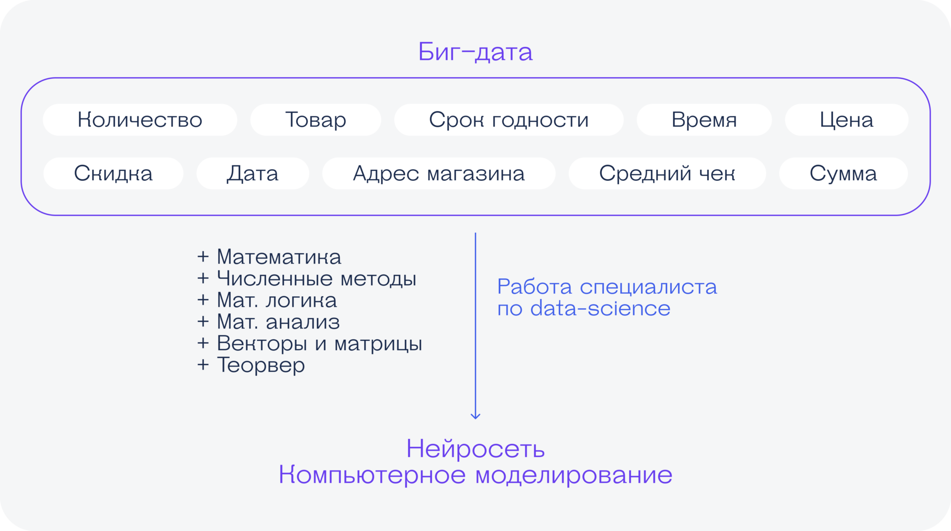 Ваш гид по профессиям, связанным с данными