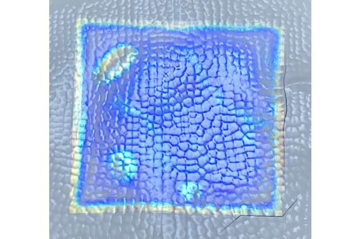 Разработали красочную плёнку из растений, которая охлаждается под воздействием солнечного света