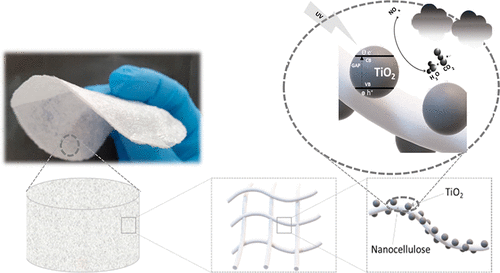 Изобрели способ бороться с одной из причин кислотных дождей с помощью сельскохозяйственных отходов