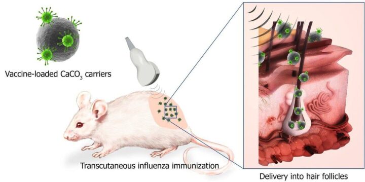 В России изобрели новый метод введения вакцин