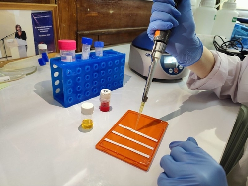 В России разработали экспресс-тест, который выявляет сердечную недостаточность