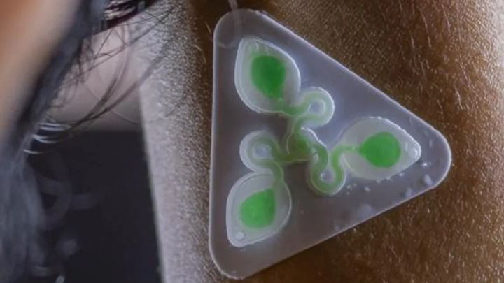 Придумали, как печатать датчики пота на 3D-принтере