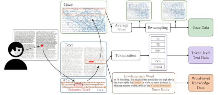 Сделали систему, которая помогает с незнакомыми словами тем, кто изучает английский как второй язык